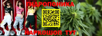 гашишное масло Будённовск