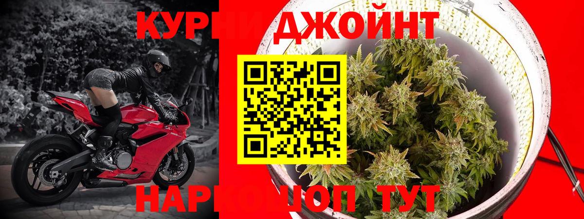 Шишки марихуана OG Kush Костомукша